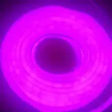 LED Neon Flex 12W 24V IP65 Βιολετί Dimmable