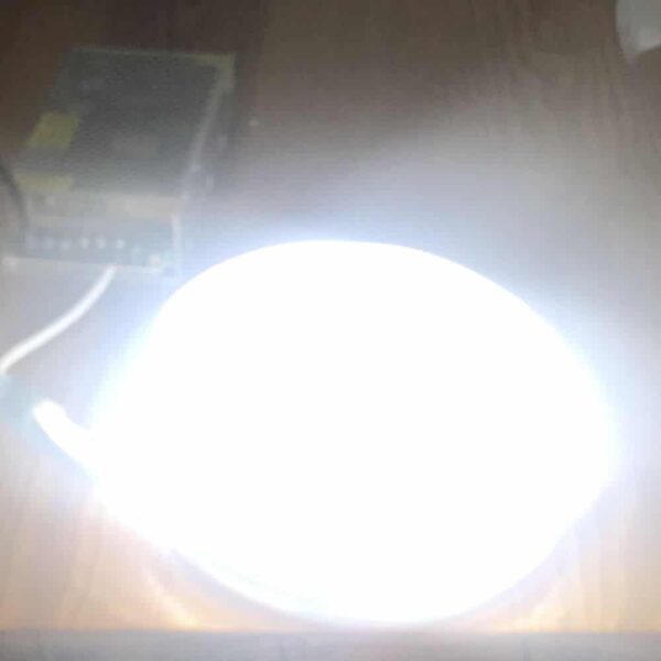 LED Neon Flex 12W 24V IP65 Ψυχρό Λευκό Dimmable