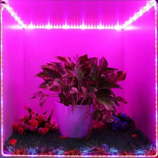 Ταινία LED Grow Light 30W 12VDC IP65