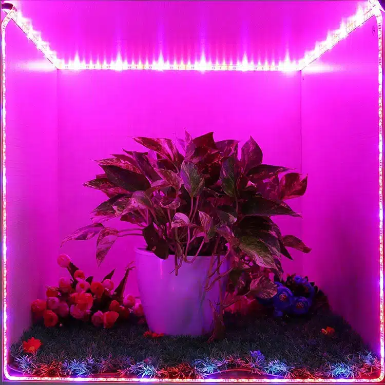 Ταινία LED Grow Light 30W 12VDC IP65