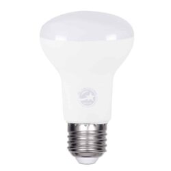 Λαμπτήρας LED R63 E27 10W 970Lm 230v Λευκό Ημέρας