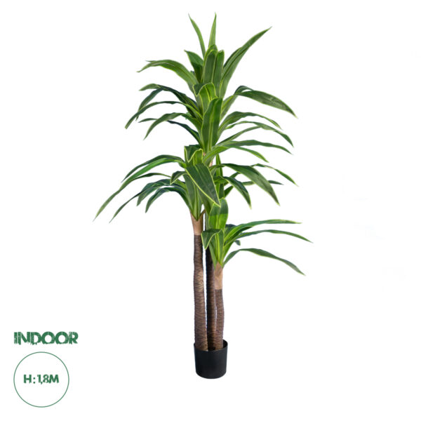 GloboStar® Artificial Garden BRAZILIAN IRON 20021 Τεχνητό Διακοσμητικό Φυτό Αρωματική Δράκαινα Υ180cm | 121,50 €