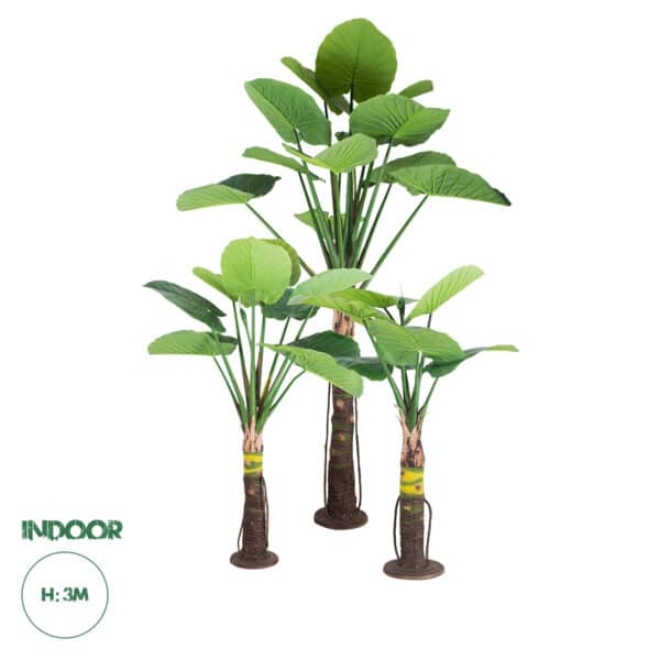 GloboStar® Artificial Garden TARO SET 20089 Τεχνητό Διακοσμητικό Σετ Φυτών Κολοκασία A:Υ300cm B:Υ210cm C:Υ160cm | 963,81 €