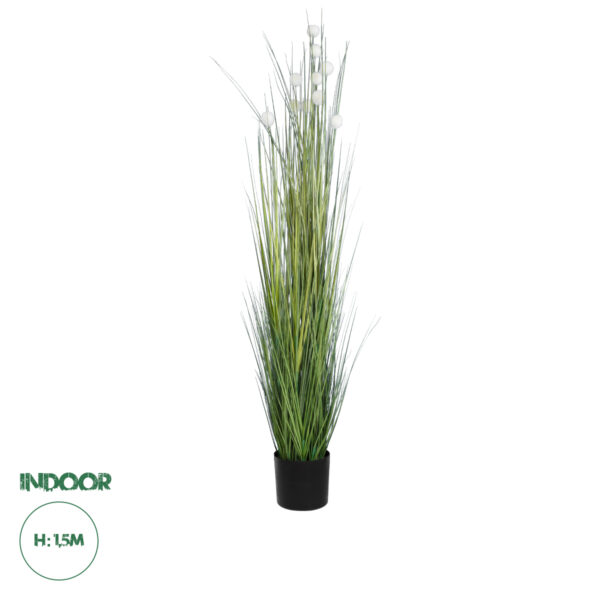 GloboStar® Artificial Garden LAGURUS GRASS 20111 Τεχνητό Διακοσμητικό Φυτό Λαγοουρά Υ150cm | 113,30 €