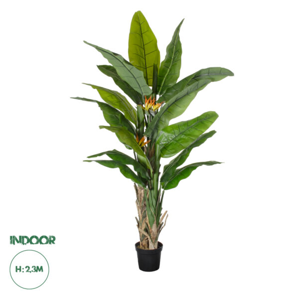 GloboStar® Artificial Garden BANANA STRELITZIA REGINAE 20381 Τεχνητό Διακοσμητικό Φυτό Μπανανιά - Στρελίτσια - Πουλί του Παραδείσου Υ230cm | 315,50 €