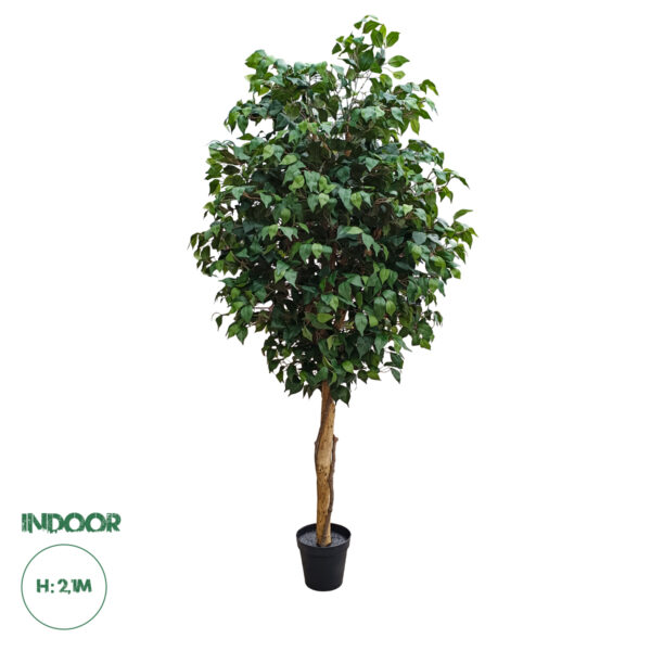 GloboStar® Artificial Garden FICUS BENJAMINA TREE 20431 Τεχνητό Διακοσμητικό Φυτό Φίκος Μπενζαμίνη Υ210cm | 213,18 €