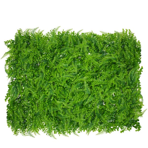 GloboStar® 78419 Artificial - Συνθετικό Τεχνητό Διακοσμητικό Πάνελ Φυλλωσιάς - Κάθετος Κήπος Καυκάσιο Πυξάρι - Φτέρη - Λυσιμαχία Πράσινο Μ60 x Υ40 x Π9cm | 10,48 €