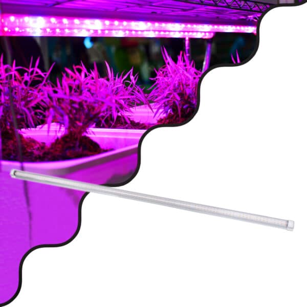 GloboStar® 85963 Linear Grow Light Full Spectrum LED Γραμμικό Φωτιστικό Ανάπτυξης Φυτών Θερμοκηπίου 120cm SMD 2835 80W 160° AC230V IP54 Εσωτερικού Χώρου για Κάλυψη Επιφάνειας 1.2m x 1.2m Πλήρους Φάσματος Φωτισμού | 43,76 €