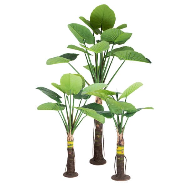 GloboStar® Artificial Garden TARO SET 20089 Τεχνητό Διακοσμητικό Σετ Φυτών Κολοκασία A:Υ300cm B:Υ210cm C:Υ160cm | 963,81 €