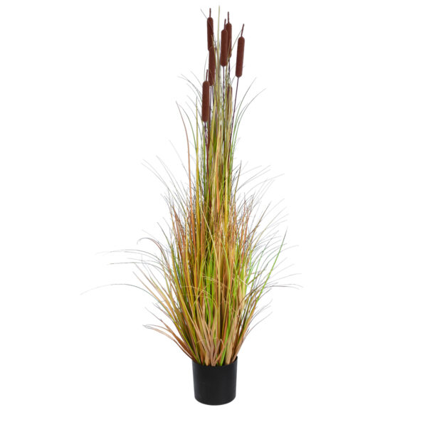 GloboStar® Artificial Garden TYPHA ANGUSTIFOLIA GRASS 20114 Τεχνητό Διακοσμητικό Φυτό Γρασίδι της Τύφας Υ150cm | 113,30 €