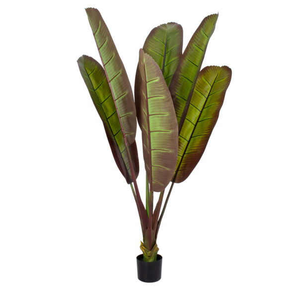 GloboStar® Artificial Garden BLOODY BANANA TREE 20117 Τεχνητό Διακοσμητικό Φυτό Αιματόφυλλη Μπανανιά - Μπανανόδεντρο Υ160cm | 170,36 €