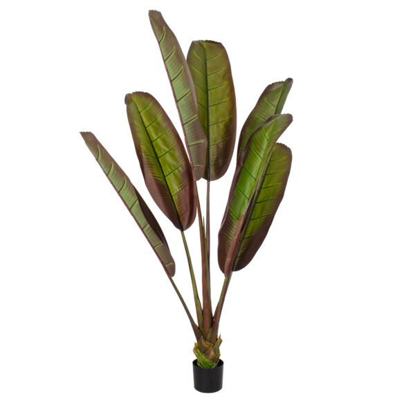 GloboStar® Artificial Garden BLOODY BANANA TREE 20118 Τεχνητό Διακοσμητικό Φυτό Αιματόφυλλη Μπανανιά - Μπανανόδεντρο Υ190cm | 220,86 €