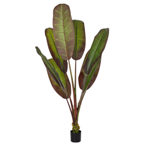 GloboStar® Artificial Garden BLOODY BANANA TREE 20119 Τεχνητό Διακοσμητικό Φυτό Αιματόφυλλη Μπανανιά - Μπανανόδεντρο Υ220cm | 261,66 €