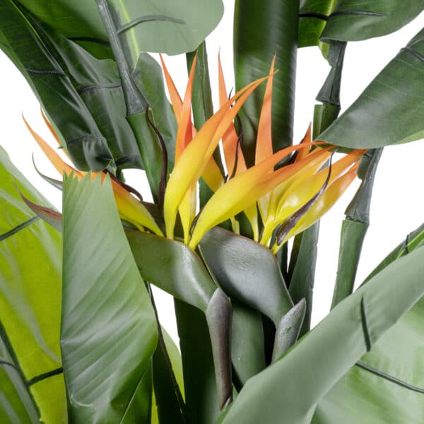 GloboStar® Artificial Garden BANANA STRELITZIA REGINAE 20381 Τεχνητό Διακοσμητικό Φυτό Μπανανιά - Στρελίτσια - Πουλί του Παραδείσου Υ230cm | 315,50 €