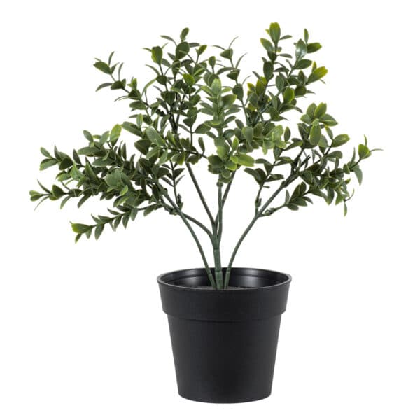 GloboStar® Artificial Garden BUXUS 20388 Τεχνητό Διακοσμητικό Φυτό Πυξός Υ30cm | 9,71 €