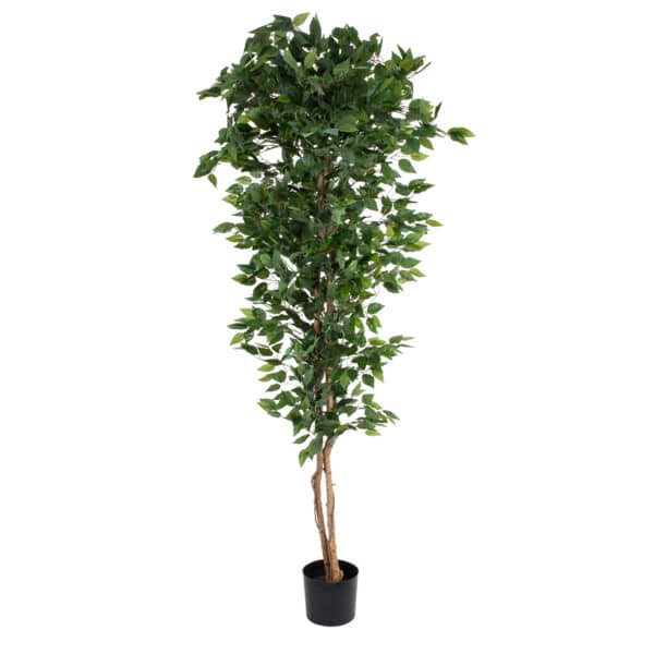 GloboStar® Artificial Garden FICUS BENJAMINA TREE 20417 Τεχνητό Διακοσμητικό Φυτό Φίκος Μπενζαμίνη Υ210cm | 121,67 €