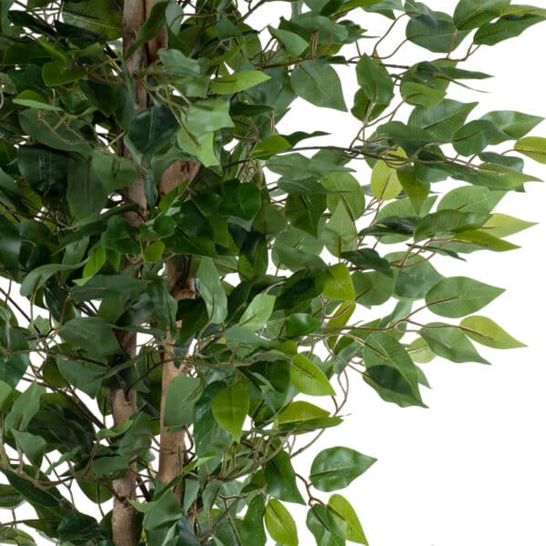 GloboStar® Artificial Garden FICUS BENJAMINA TREE 20417 Τεχνητό Διακοσμητικό Φυτό Φίκος Μπενζαμίνη Υ210cm | 121,67 €