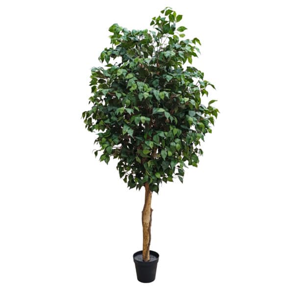 GloboStar® Artificial Garden FICUS BENJAMINA TREE 20431 Τεχνητό Διακοσμητικό Φυτό Φίκος Μπενζαμίνη Υ210cm | 213,18 €