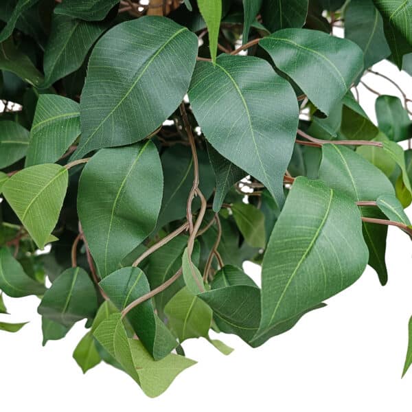 GloboStar® Artificial Garden FICUS BENJAMINA TREE 20431 Τεχνητό Διακοσμητικό Φυτό Φίκος Μπενζαμίνη Υ210cm | 213,18 €