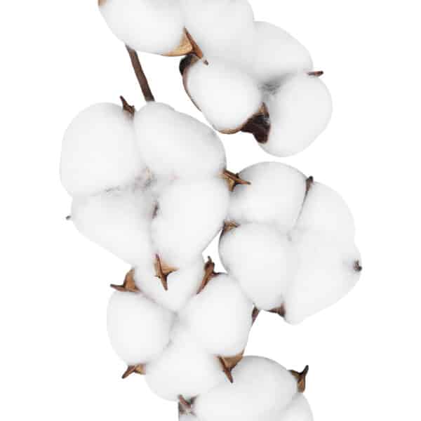 GloboStar® Artificial Garden COTTON BRANCH 20558 Τεχνητό Διακοσμητικό Κλαδί βαμβάκι Υ45cm | 3,61 €