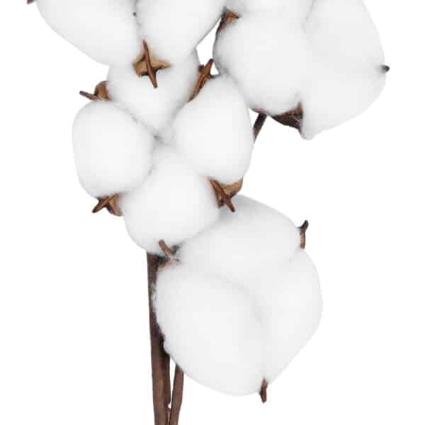 GloboStar® Artificial Garden COTTON BRANCH 20558 Τεχνητό Διακοσμητικό Κλαδί βαμβάκι Υ45cm | 3,61 €