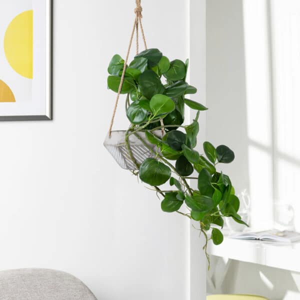 GloboStar® Artificial Garden HANGING PEPEROMIA 20599 Τεχνητό Διακοσμητικό Κρεμαστό Φυτό Πεπερόμια Μ30 x Π31 x Υ50cm | 10,14 €