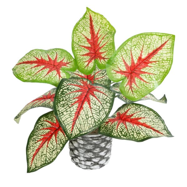 GloboStar® Artificial Garden CALADIUM 20891 Τεχνητό Διακοσμητικό Φυτό Τροπικό Φυτό Φ40 x Υ33cm | 10,32 €