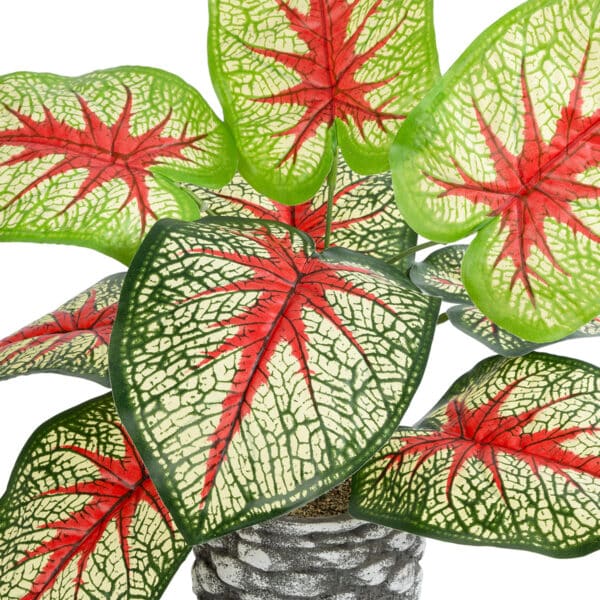 GloboStar® Artificial Garden CALADIUM 20891 Τεχνητό Διακοσμητικό Φυτό Τροπικό Φυτό Φ40 x Υ33cm | 10,32 €