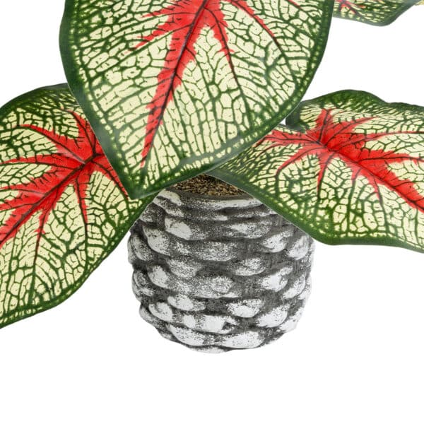 GloboStar® Artificial Garden CALADIUM 20891 Τεχνητό Διακοσμητικό Φυτό Τροπικό Φυτό Φ40 x Υ33cm | 10,32 €