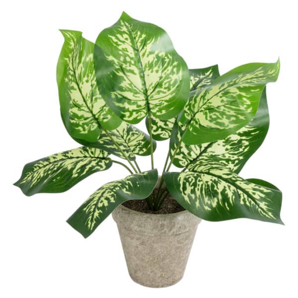 GloboStar® Artificial Garden DIEFFENBACHIA POTTED PLANT 20897 Διακοσμητικό Φυτό Διεφενμπάχια Φ40 x Υ33cm | 8,46 €