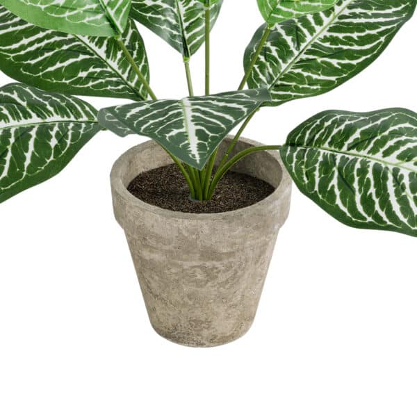 GloboStar® Artificial Garden ZEBRA POTTED PLANT 20898 Διακοσμητικό Φυτό Ζέμπρα Φ40 x Υ33cm | 8,46 €