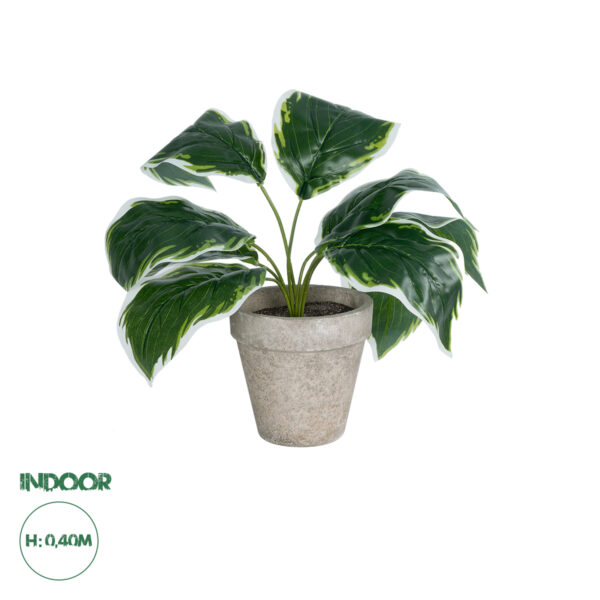 GloboStar® Artificial Garden WHITE HOSTA 20900 Διακοσμητικό Φυτό Λευκή Χόστα Υ40cm | 8,61 €