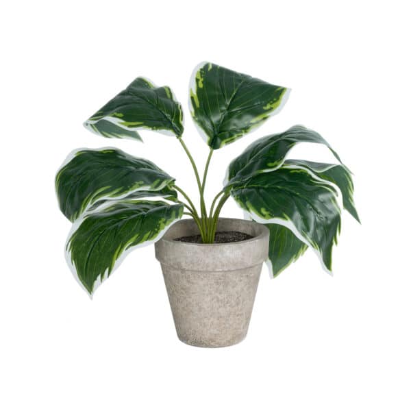 GloboStar® Artificial Garden WHITE HOSTA 20900 Διακοσμητικό Φυτό Λευκή Χόστα Υ40cm | 8,61 €