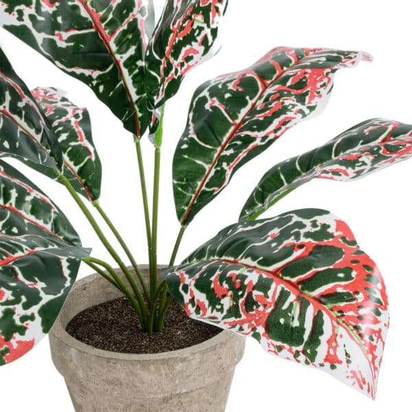 GloboStar® Artificial Garden RED AGLAONEMA POTTED PLANT 20901 Διακοσμητικό Φυτό Κόκκινο Αγλαόνημα Φ40 x Υ33cm | 8,46 €