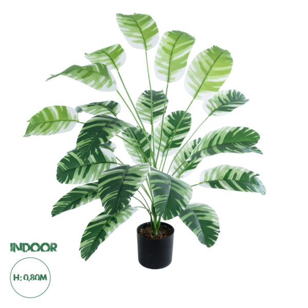 GloboStar® Artificial Garden BANANA ZEBRA 20918 Διακοσμητικό Φυτό Μπανανιά Ζέβρα Υ80cm | 28,29 €