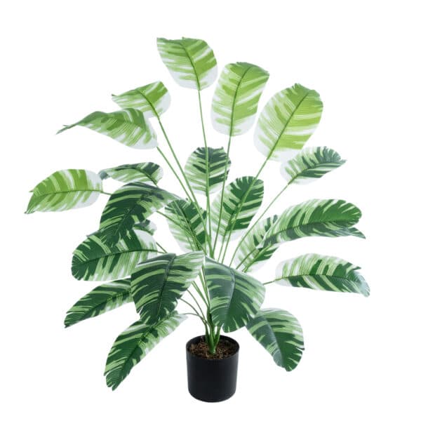 GloboStar® Artificial Garden BANANA ZEBRA 20918 Διακοσμητικό Φυτό Μπανανιά Ζέβρα Υ80cm | 28,29 €