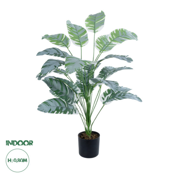 GloboStar® Artificial Garden BANANA ZEBRA 20919 Διακοσμητικό Φυτό Μπανανιά Ζέβρα Υ80cm | 28,29 €