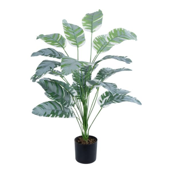 GloboStar® Artificial Garden BANANA ZEBRA 20919 Διακοσμητικό Φυτό Μπανανιά Ζέβρα Υ80cm | 28,29 €