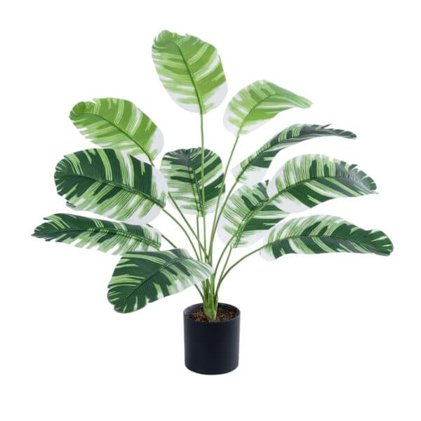 GloboStar® Artificial Garden BANANA ZEBRA 20929 Διακοσμητικό Φυτό Μπανανιά Ζέβρα Υ55cm | 15,26 €