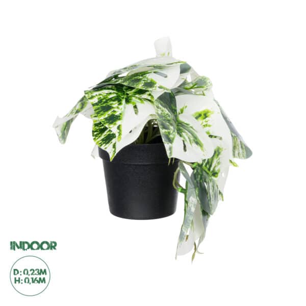 GloboStar® Artificial Garden ALBINO MONSTERA PLANT 20946 - Διακοσμητικό Φυτό Μονστέρα Φ23 x Υ16cm | 6,77 €