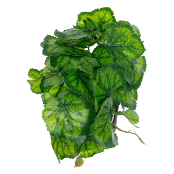 GloboStar® Artificial Garden GREEN BEGONIA PLANT 20949 Διακοσμητικό Φυτό Πράσινη Μπιγόνια Φ23 x Υ16cm | 6,77 €