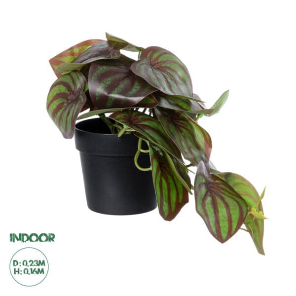 GloboStar® Artificial Garden BROWN PEPEROMIA PLANT 20952 Διακοσμητικό Φυτό Καφέ Πεπερόμια Φ23 x Υ16cm | 6,77 €