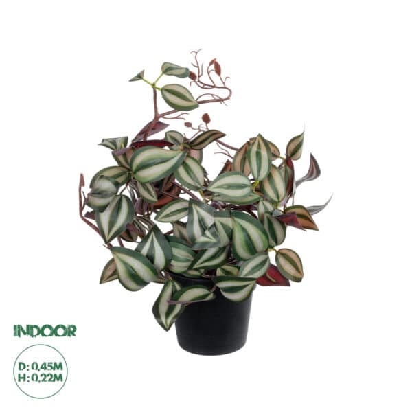 GloboStar® Artificial Garden ZEBRINA PLANT 20961 Διακοσμητικό Φυτό Ζεμπρίνα Φ45 x Υ22cm | 16,80 €