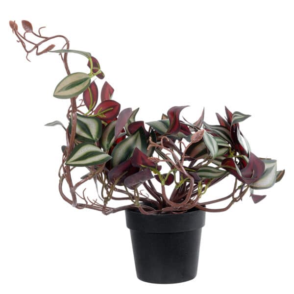 GloboStar® Artificial Garden ZEBRINA PLANT 20961 Διακοσμητικό Φυτό Ζεμπρίνα Φ45 x Υ22cm | 16,80 €