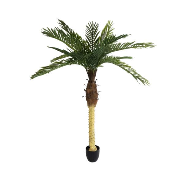 GloboStar® Artificial Garden PHOENIX PALM TREE 20968 Τεχνητό Διακοσμητικό Φυτό Φοίνικας Φ150 x Υ180cm | 98,10 €