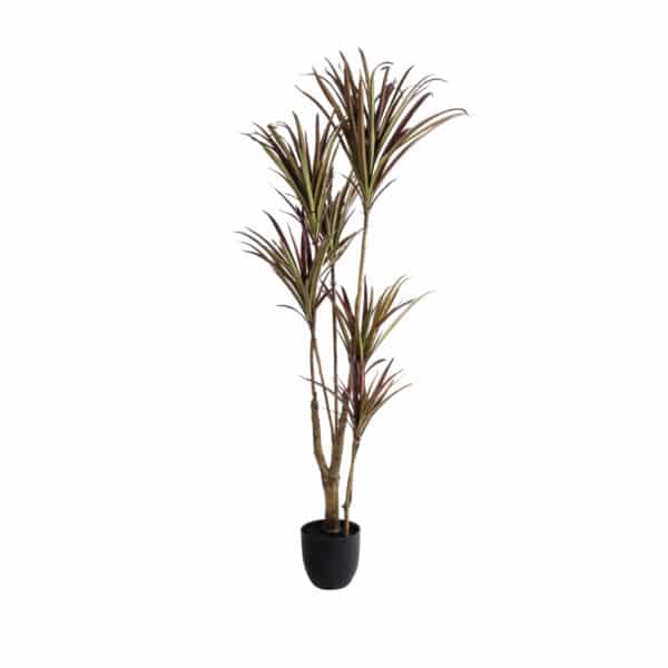 GloboStar® Artificial Garden DRAGON BLOOD TREE 20970 Τεχνητό Διακοσμητικό Φυτό Δράκαινα Φ60 x Υ140cm | 76,79 €