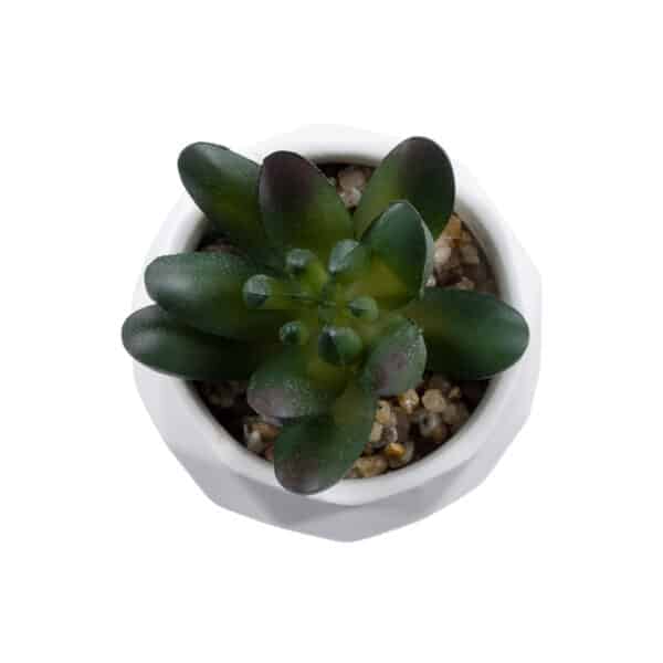 GloboStar® Artificial Garden SUCCULENT CRASSULA 20979 Διακοσμητικό Φυτό Παχύφυτο Κράσουλα Υ9cm | 4,89 €