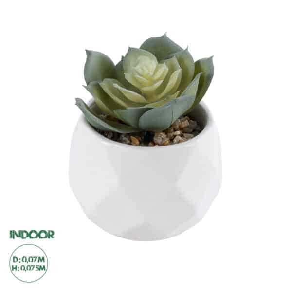 GloboStar® Artificial Garden SUCCULENT ECHEVERIA 20980 Διακοσμητικό Φυτό Παχύφυτο Εχεβέρια Υ7.5cm | 4,89 €