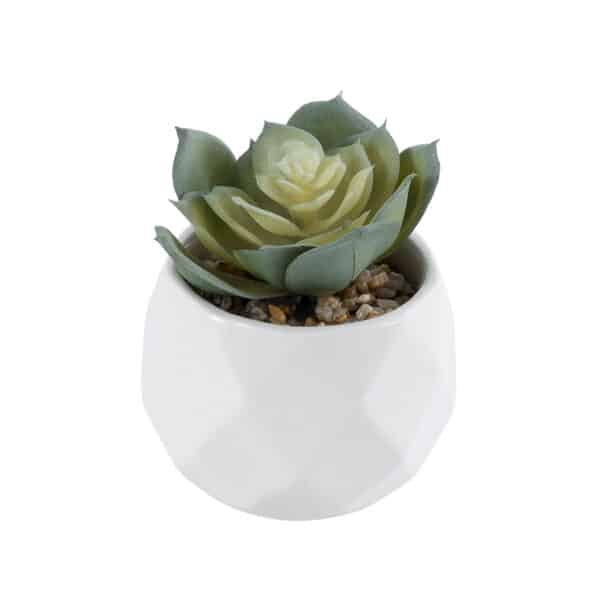 GloboStar® Artificial Garden SUCCULENT ECHEVERIA 20980 Διακοσμητικό Φυτό Παχύφυτο Εχεβέρια Υ7.5cm | 4,89 €