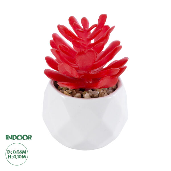 GloboStar® Artificial Garden SUCCULENT CRASSULA 20985 Διακοσμητικό Φυτό Παχύφυτο Κράσουλα Υ10cm | 5,27 €